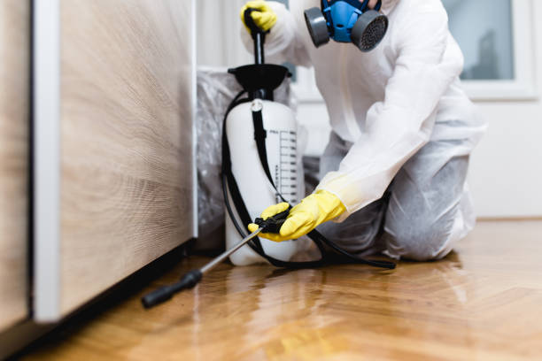 Best Wildlife Control Services  in Houston, TX