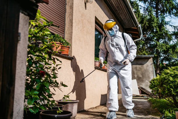 Best Residential Pest Control  in Houston, TX