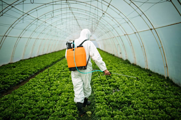 Best Best Pest Control Companies  in Houston, TX