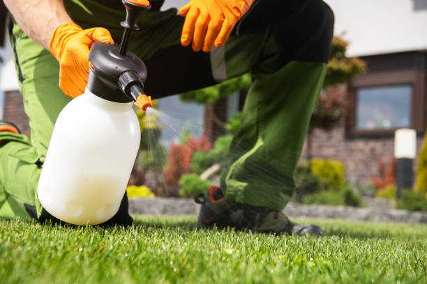 Best Wasp Removal Services  in Houston, TX