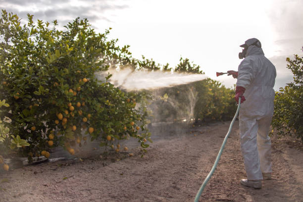 Trusted Houston, TX Pest Control Experts