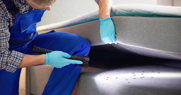 Best Commercial Pest Control Services  in Houston, TX