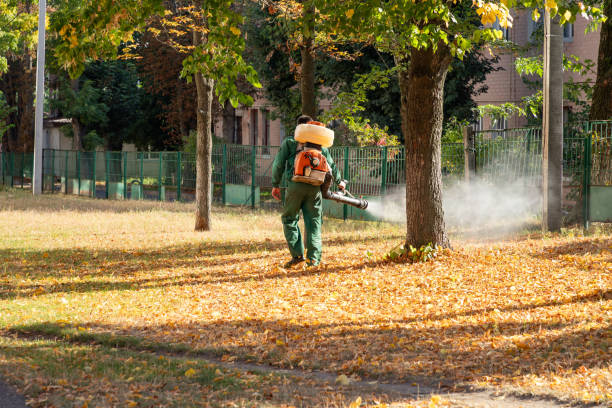 Best Rodent Control Near Me  in Houston, TX