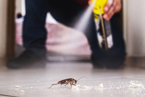 Best Cockroach Control Services  in Houston, TX