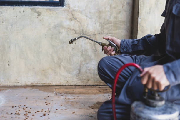 Best Pest Control Near Me  in Houston, TX