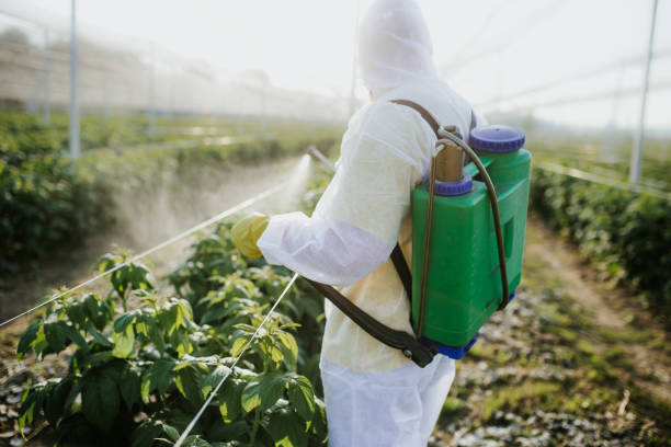 Best Pest Control Near Me  in Houston, TX